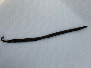 MADAGASCAN GOURMET VANILLA BEAN ~(SINGLE)