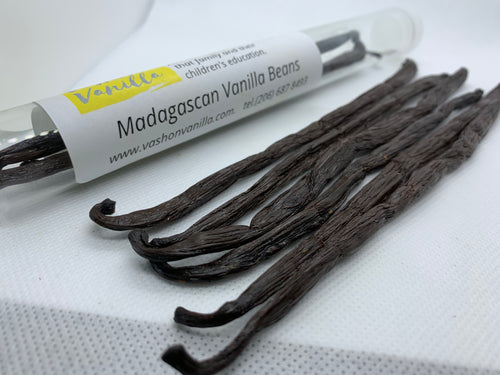 MADAGASCAN GOURMET VANILLA BEANS ~ 9