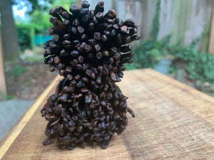 MADAGASCAN EXTRACT VANILLA BEANS ~ 200