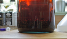 Load image into Gallery viewer, Vanilla Extract. COMING SOON